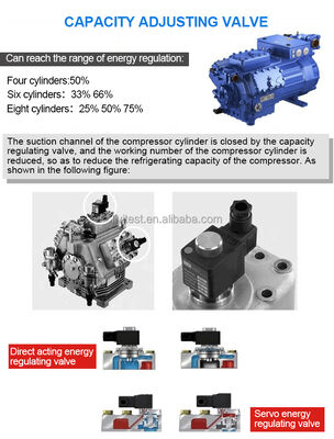 ম্যানুফ্যাকচার বৃহৎ ক্ষমতা পরিবেশগত ওয়াক ইন ক্লাইমেট চেম্বার আর্দ্রতা নিয়ন্ত্রণ তাপমাত্রা পরীক্ষার কক্ষ সহ