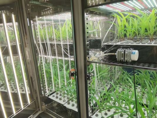 LIYI 2-পার্শ্ব 3-পার্শ্ব পরিবেশগত কৃত্রিম জলবায়ু পরীক্ষার আলোকসজ্জা প্ল্যান্ট গ্রোথ ইনকিউবেটর চেম্বার বিক্রয়ের জন্য মূল্য